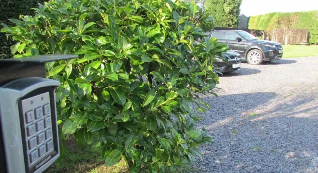 Willow Lodge Hambleton, Varaa Bed and Breakfast Hotellit Merseyside aamiaisella, Aamiainen
