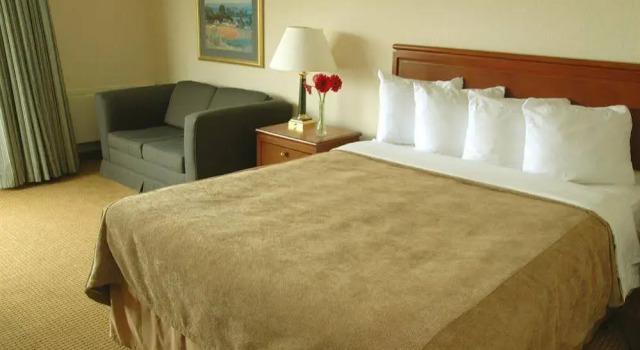 Quality Hotel Montreal Centre-ville, Rezervasyon Otel Montreal Quebec, Complexe Desjardins yakınında