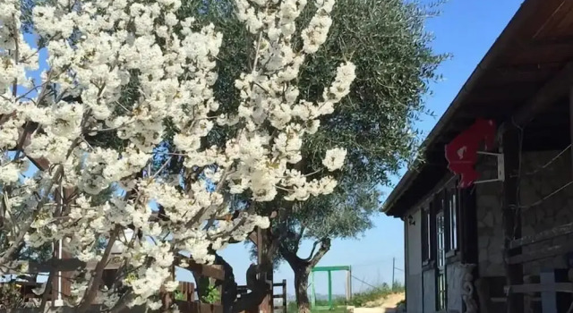 La Vecchia Fornace, Book Hotel Hotels in Abruzzo with Parking, Parking