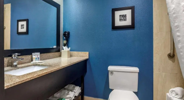 Люкс Comfort Inn & Suites Mansfield
