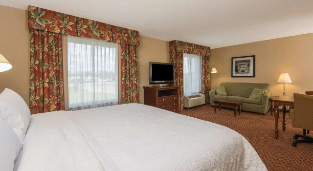 Студия Hampton Inn & Suites Florence-North-I-95