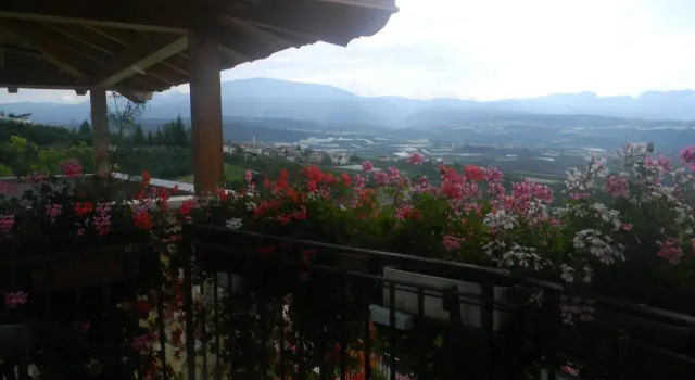 Двухместный номер Standard Agritur Vista Lago