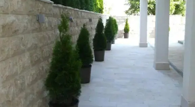 Номер Economy Guesthouse Montex