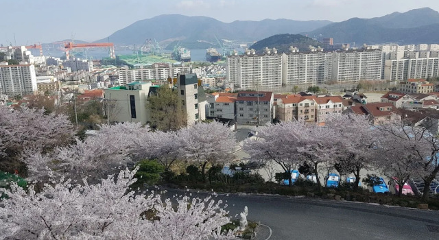 Двухместный номер Standard с видом на город Geoje Oasis Hotel