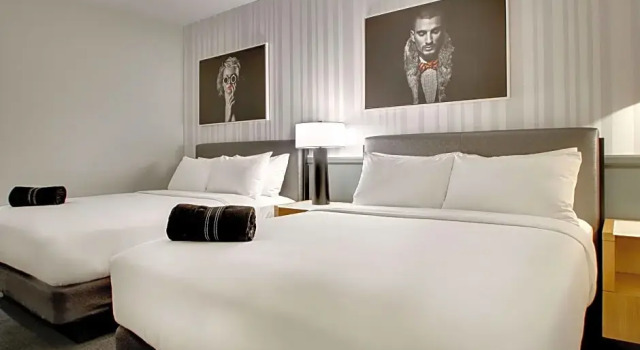 Номер Deluxe The Rose Chicago, Tapestry Collection By Hilton
