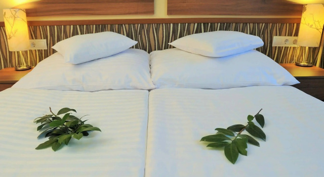 Park Hotel Gyula