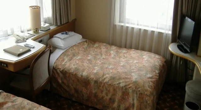 Hotel New Green Plaza