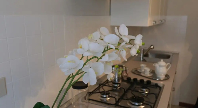 Апартаменты Classic Casa delle Ortensie