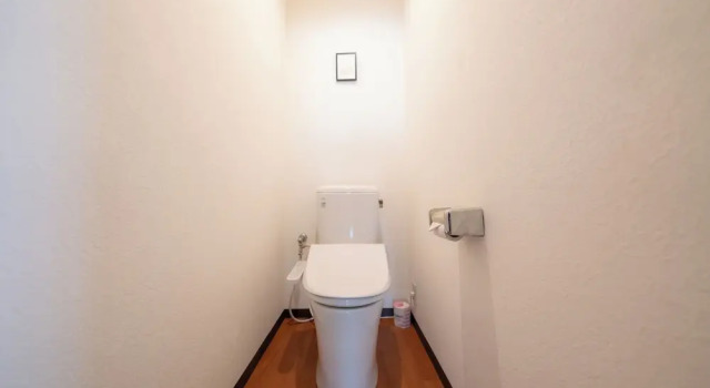 Люкс Deluxe Casa GS Osaka Port