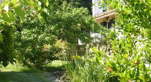 Villa Il Bosco - Rental on the hills of Florence, Buchen Sie Villa Villen in Fiesole, Villa