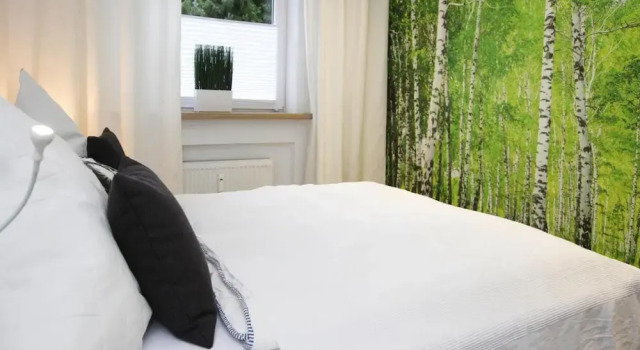 Ferienwohnung Hexenzauber I und II in Braunlage