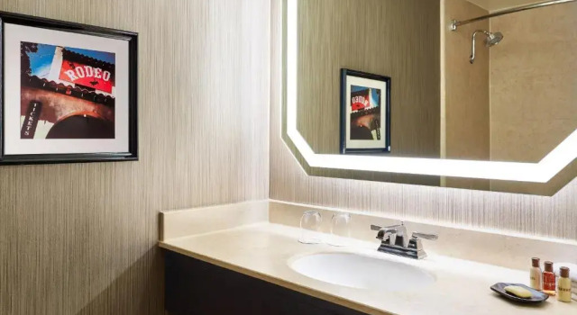 Номер Standard Sheraton Fort Worth Downtown Hotel