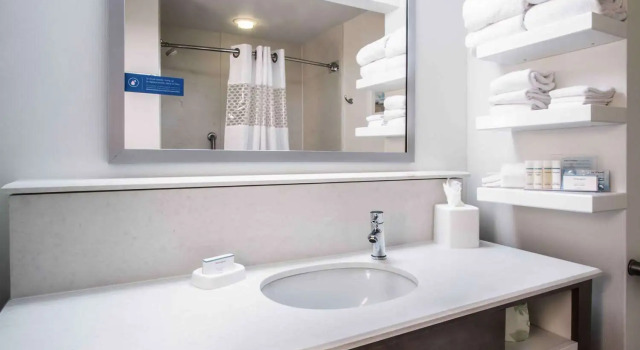 Номер Standard Hampton Inn South Haven