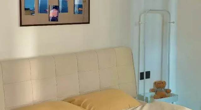 Suite 479 Inn