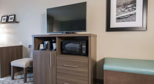 Номер Standard Hampton Inn Greenville/I-385 Haywood Mall, SC