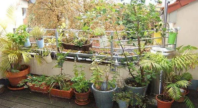Dachgeschoß Traum Im Herzen Berlins, Rezerwuj Hotel Berlin Niemcy, w pobliżu Boros Foundation