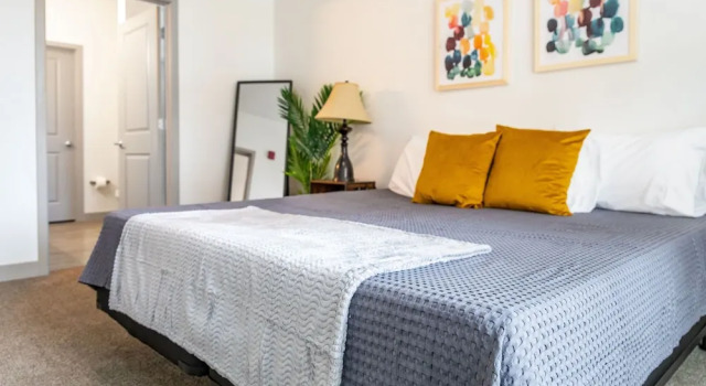 Апартаменты Executive Brand New Suite in Kansas City