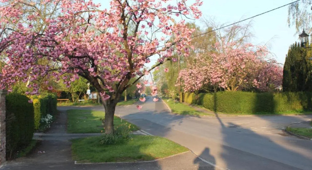 The Old Post Office pretty village 20min from York, Prenota Hotel Tollerton Inghilterra