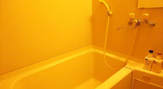 Номер Standard с видом на море Tosaryu Onsen Sanyoso Ryokan