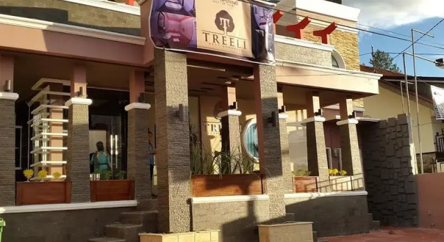 Treeli Boutique Hotel