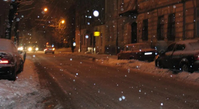 Apartment Flat on Sheptytskykh