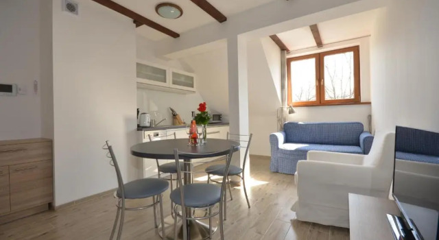 Апартаменты c 1 комнатой Apartamenty Zielony Dom