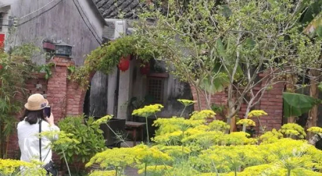 Feiyi Culture Village (Dapeng Suocheng Branch), Rezerwuj Hotel Hotele w Shenzhen z parkingiem, Parking