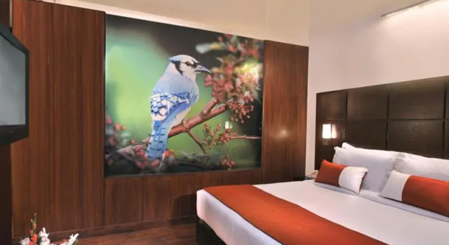 Двухместный номер Deluxe Comfort Inn Tulip Heights
