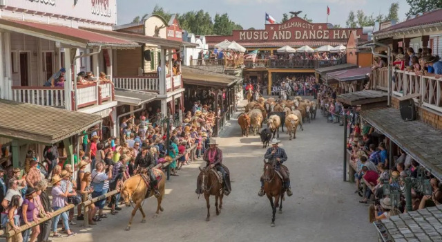 Коттедж Pullman City Ferienpark