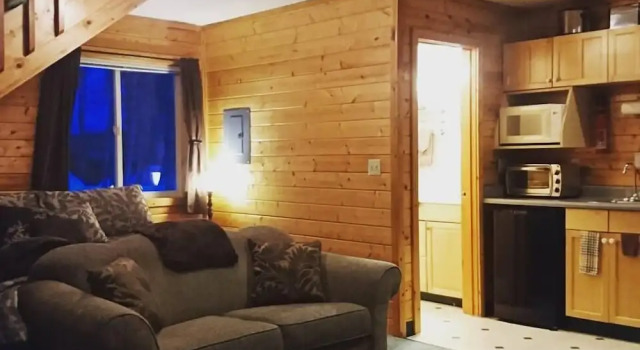 Номер Standard Riverside Cabins at Susitna River Lodge