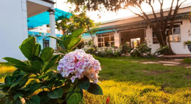 Трёхместный номер Standard с видом на сад Gia Nguyễn Homestay