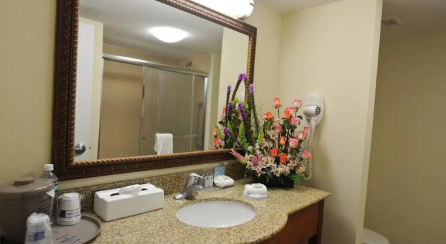 Номер Standard Hampton by Hilton Queretaro Tecnologico