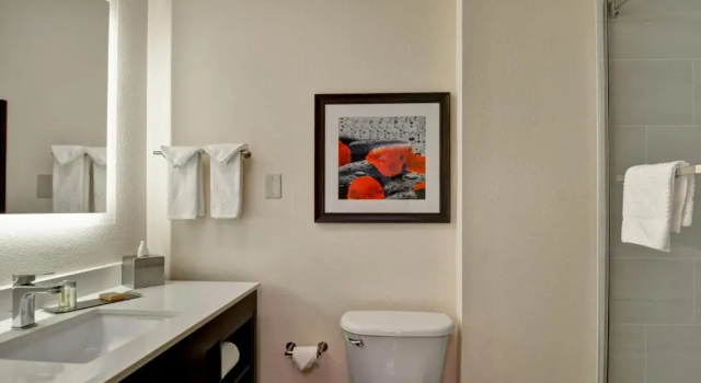 Четырёхместный номер Standard DoubleTree by Hilton Hattiesburg, MS