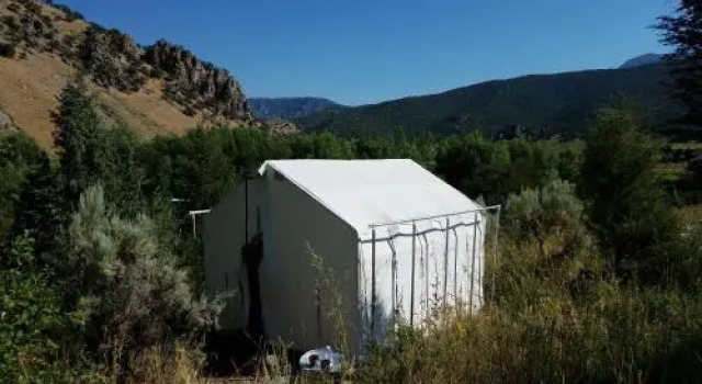 Bristol Cabins, Rezerwuj Hotel Lava Hot Springs Idaho