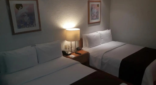 Номер Economy Hotel PF