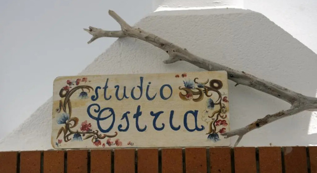 Студия Standard Ostria Studios
