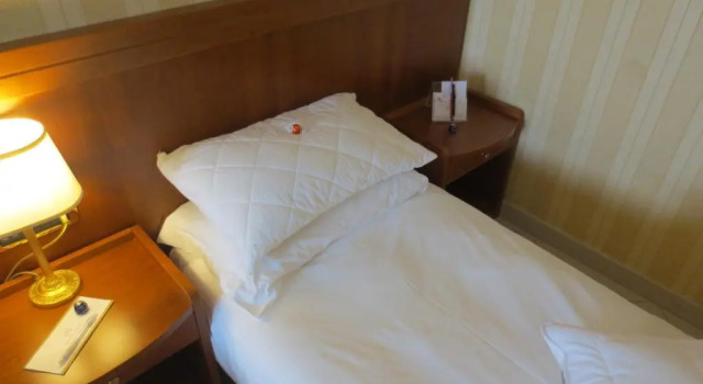 Standard Yhden hengen huone Hotel Joyfull