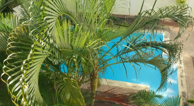3 Bed Appartment Pereybere, Rezervovat Hotel Pereybere Mauritius North Coast