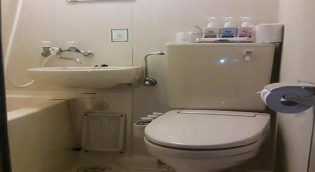 Двухместный номер Standard HOTEL LiVEMAX BUDGET Fuchu Annex