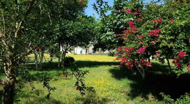 Saint Francis Bed & Breakfast, Prenota Hotel Batroûn 