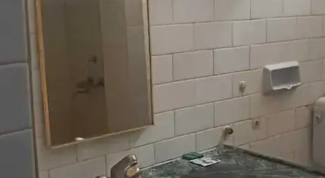 Номер Economy Jungle King Resort