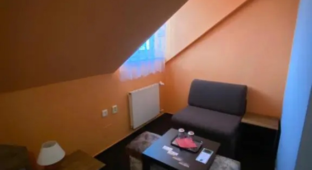 Трёхместный номер Standard Hotel & SPA centrum PALMIRA