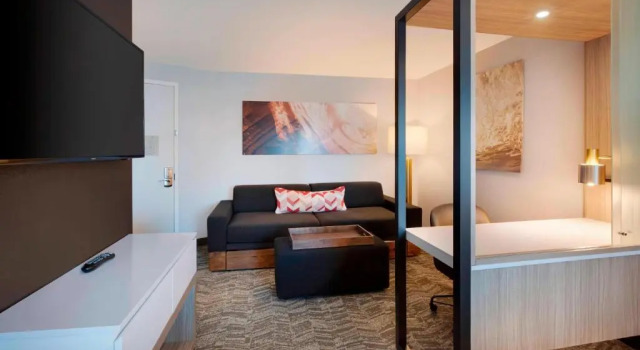 Люкс SpringHill Suites by Marriott Hampton Portsmouth