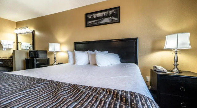 Двухместный номер Standard The Stone Castle Hotel & Conference Center