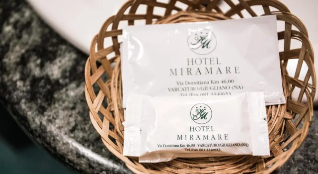Двухместный номер Standard Hotel Miramare