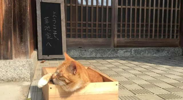 Коттедж 草地家 猫と図書館のある宿