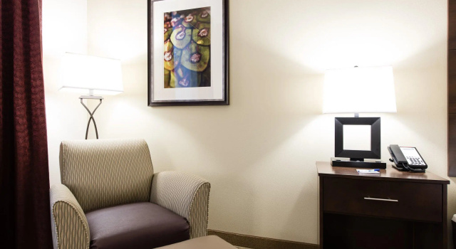 Номер Standard Holiday Inn Express & Suites Aiken by IHG