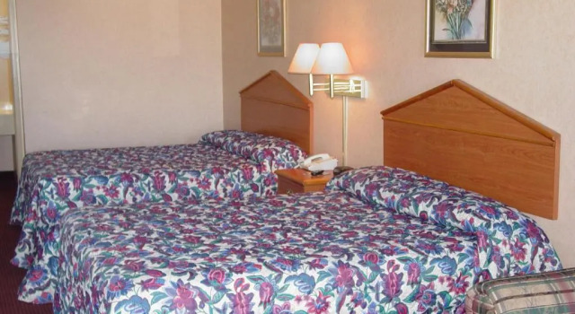 Четырёхместный номер Standard Garden Inn & Suites