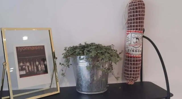 Апартаменты Le Burlat - Studio - Lyon - Tassin