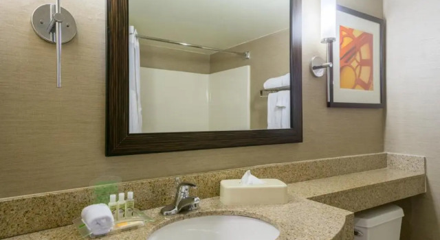 Четырёхместный номер Standard Holiday Inn Harrisburg I-81 Hershey Area by IHG
